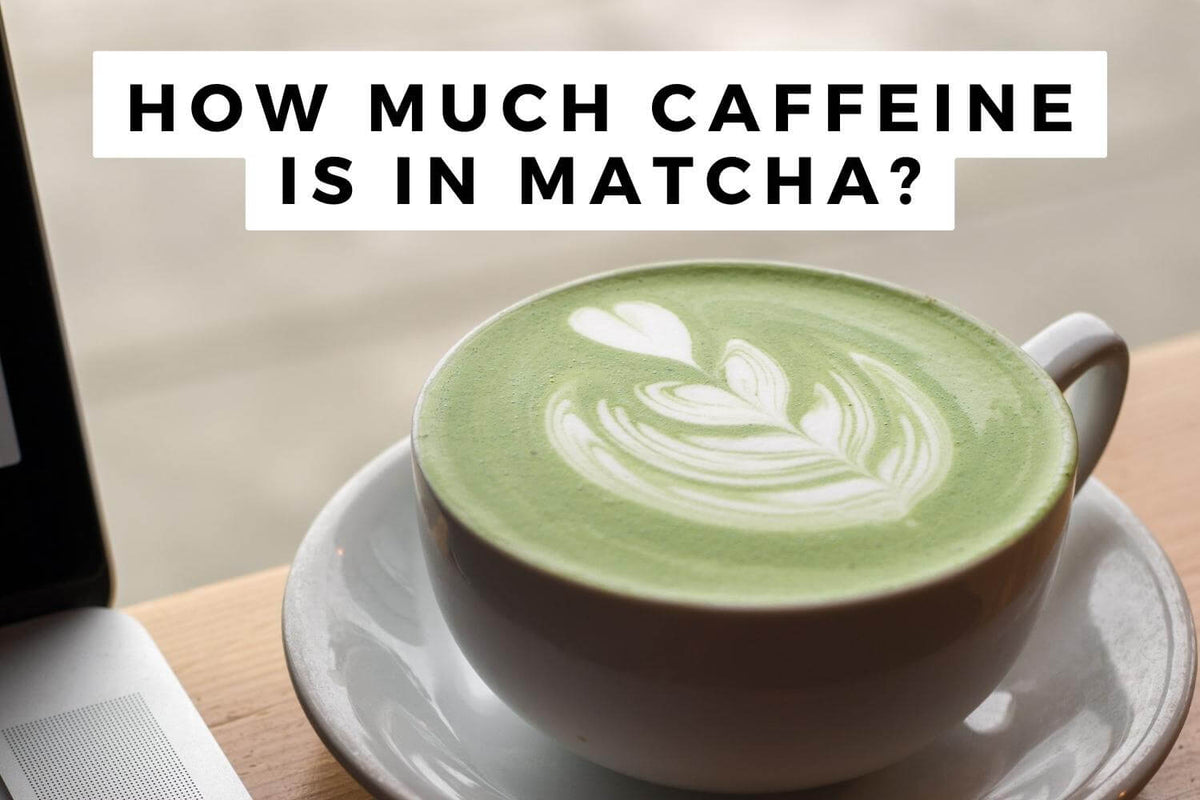 How Much Caffeine Is In Matcha? | Moontower Matcha Learn blog