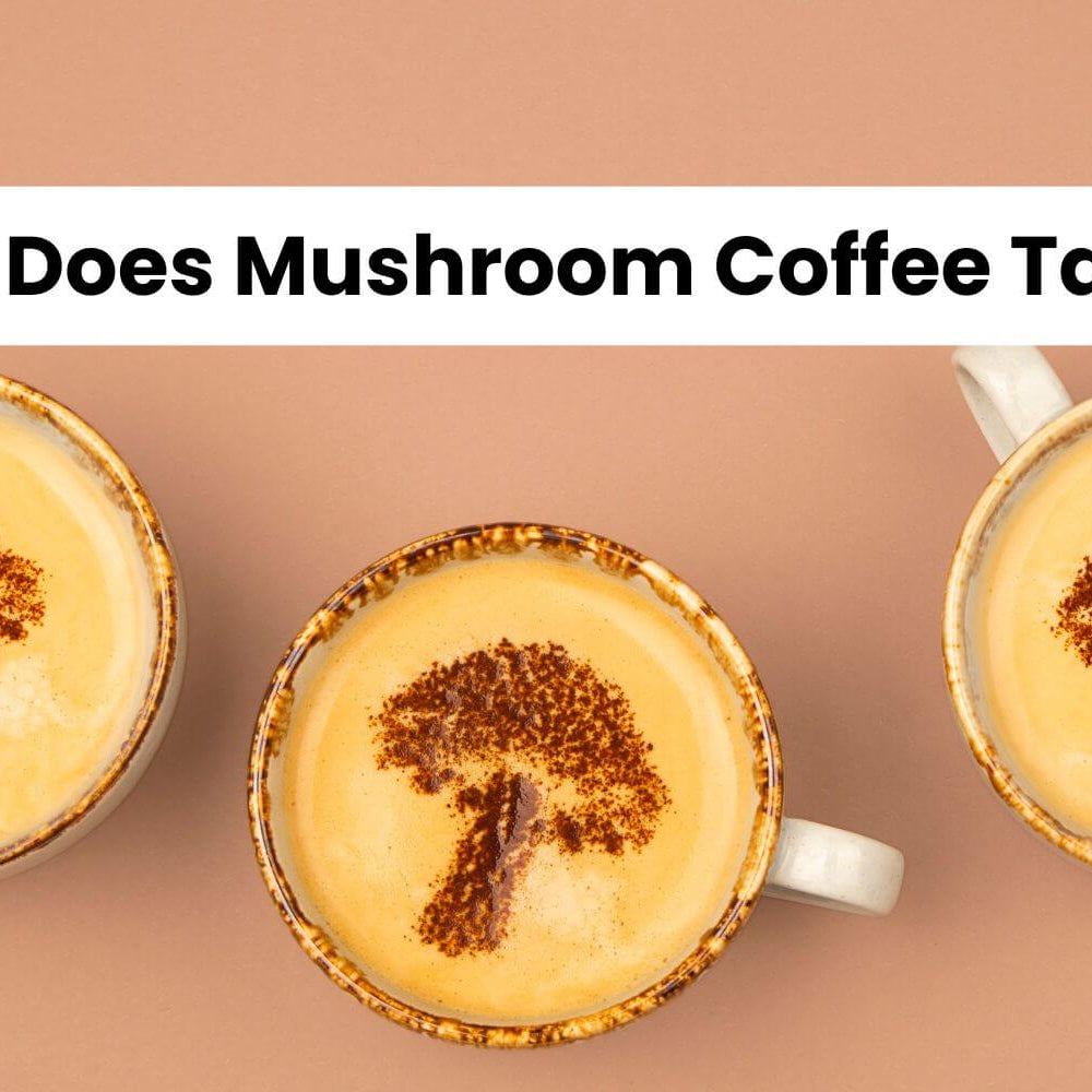 a photo of mushroom coffee