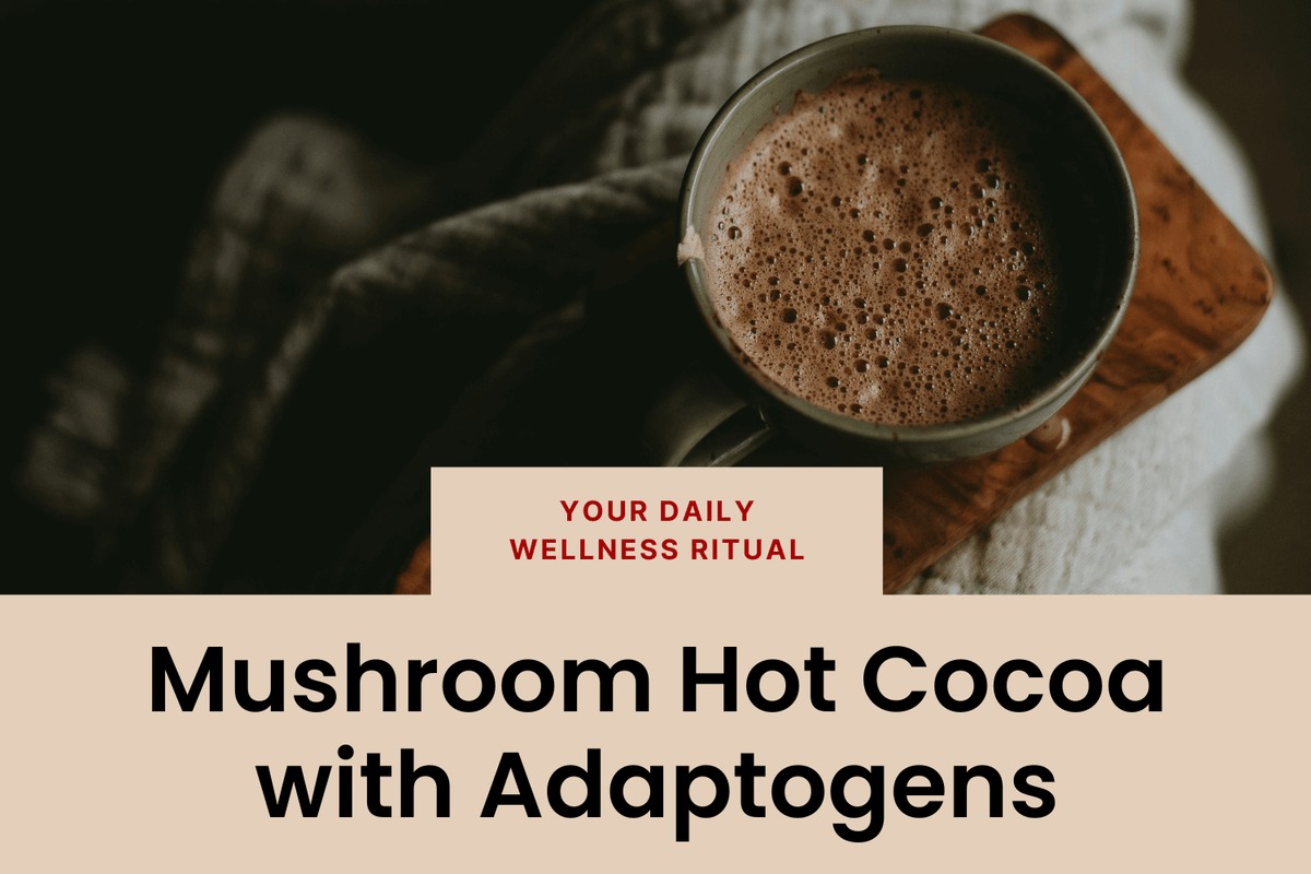 a mug of frothy adaptogen mushroom cocoa in a cozy home
