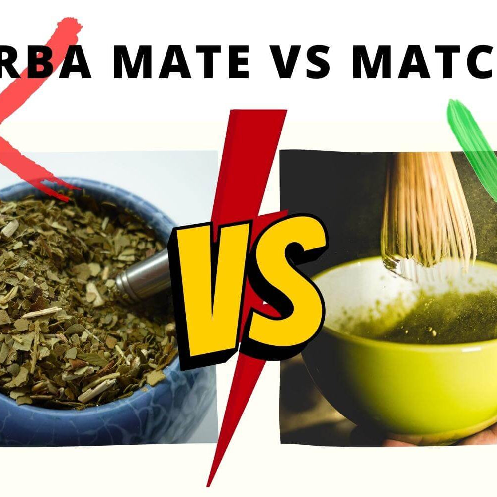 Yerba Mate Energy Drink vs Matcha: What's the difference?