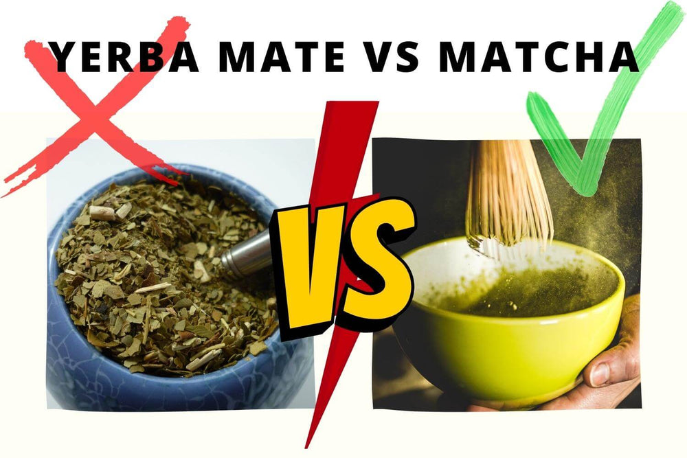 Yerba Mate Energy Drink vs Matcha: What's the difference?