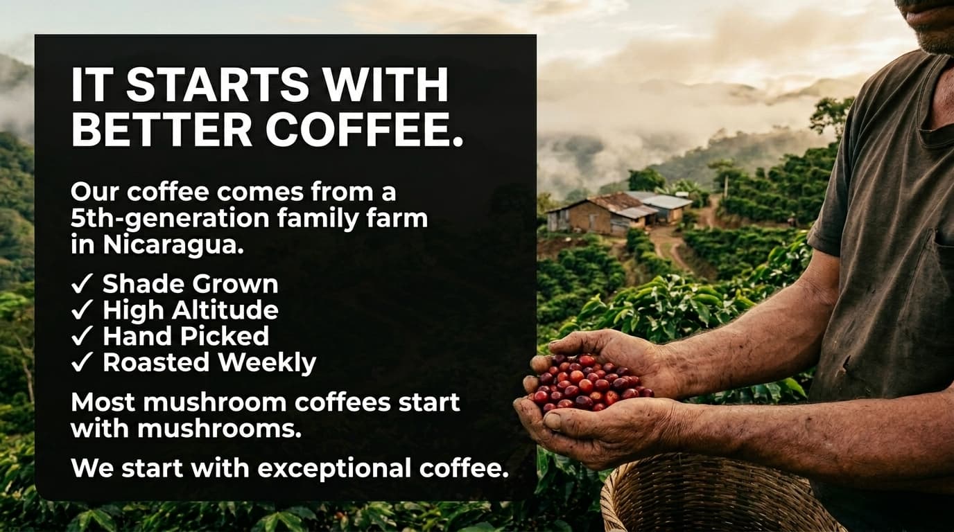 Person holding Moontower coffee beans with text about coffee quality and origin on a scenic background